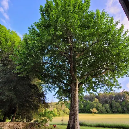 D'hotes Domaine De Feneyrol Vaillac