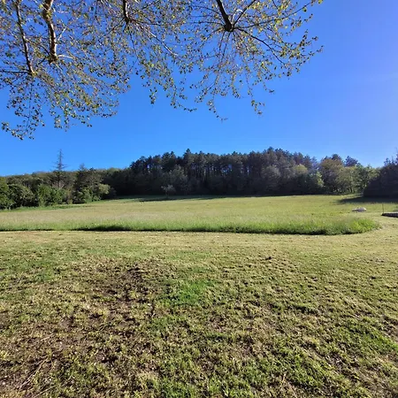 לינה וארוחת בוקר D'hotes Domaine De Feneyrol Vaillac