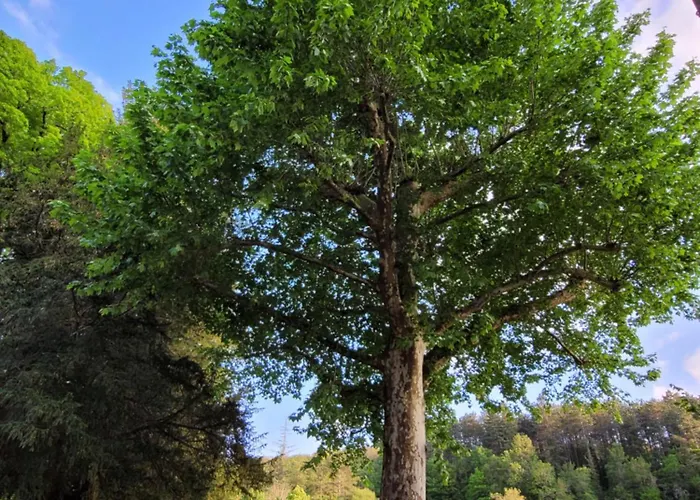 D'hotes Domaine De Feneyrol Vaillac